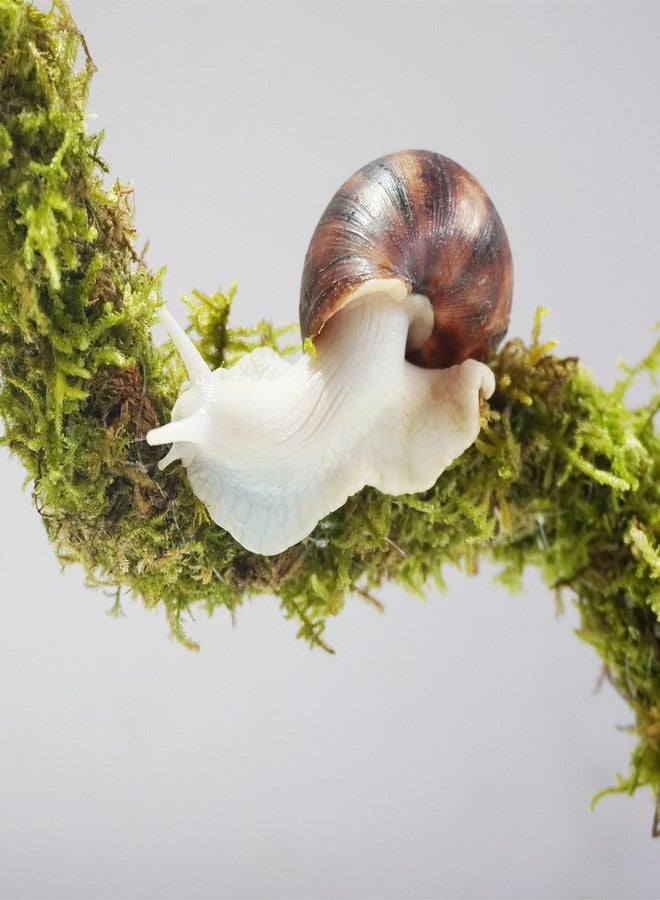 Begeterday Bendable Pet Snail Climbing Toys, Ideal Snail Terrarium Accessories, Nice for Pet Snails That Like to Climb，12 Inch - Image 3